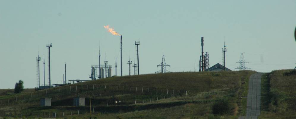 
            Фотография Твориничей