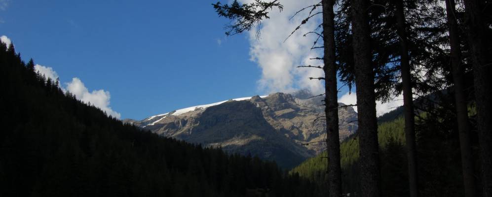 
            Фотография Фраше