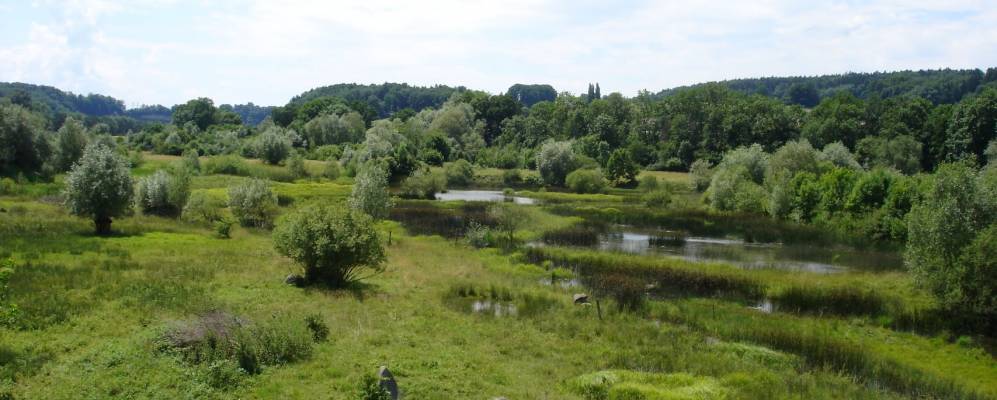 
            Фотография Босингена