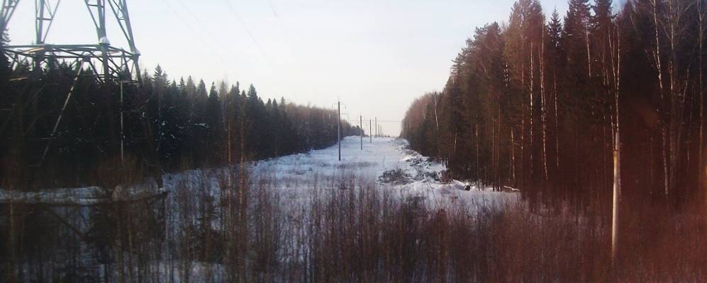 
            Фотография Волегов