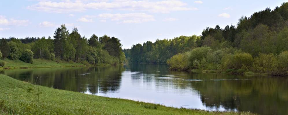 
            Фотография Якшинской