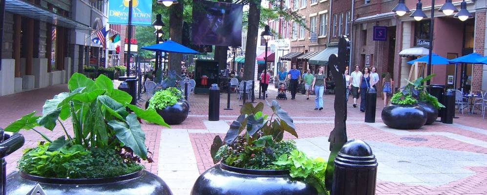 
            Фотография Чарлоттесвилла