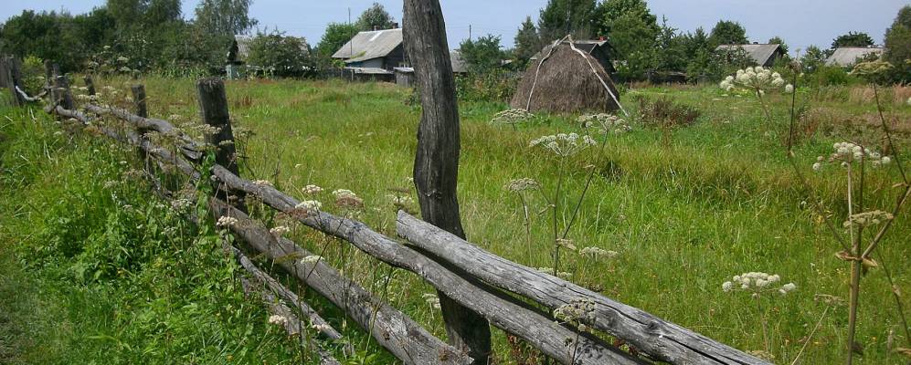 
            Фотография деревни Новые Дятловичи