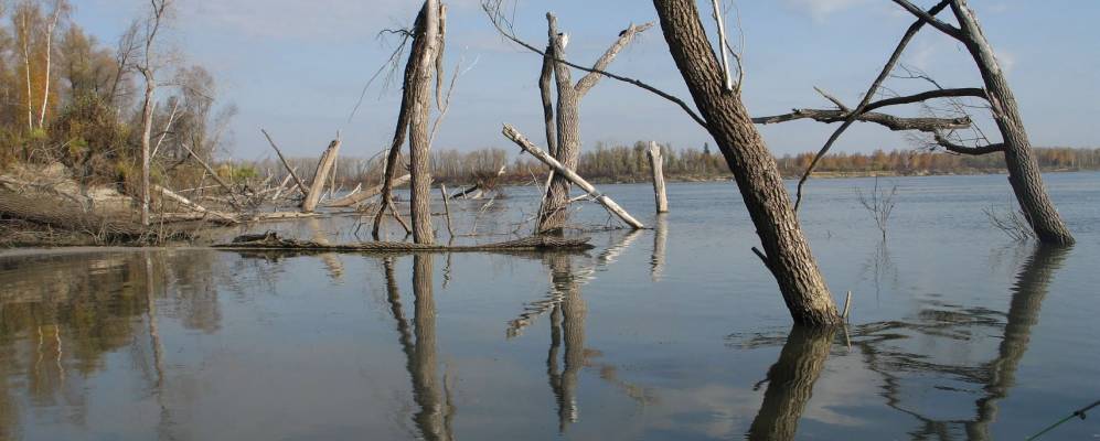 
            Фотография Кузурово