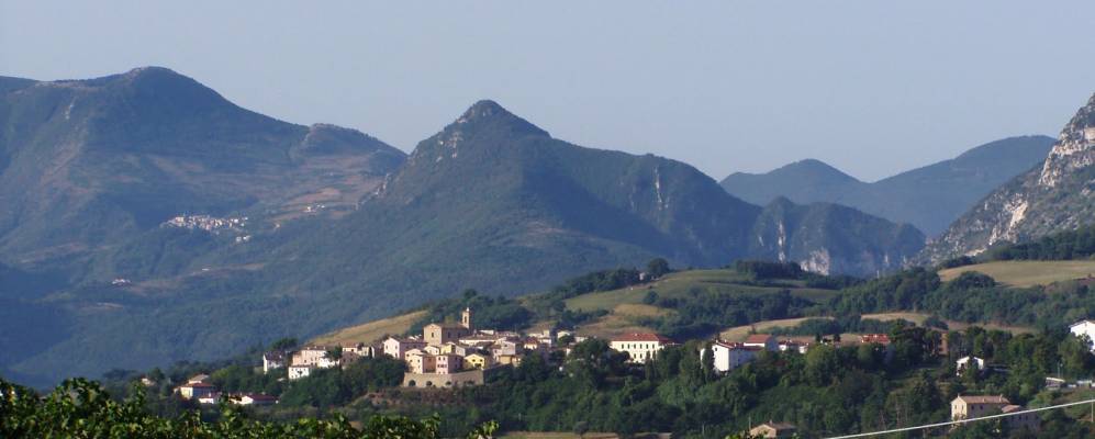 
            Фотография Розоры