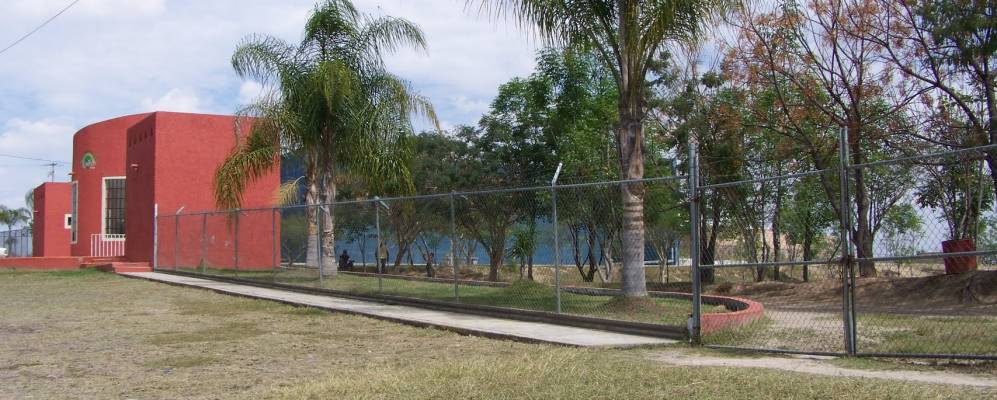 
            Фотография Талы