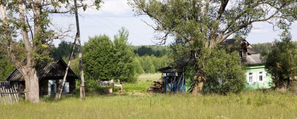 
            Фотография Лапино