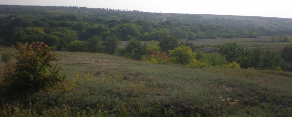 
            Фотография Ивановки