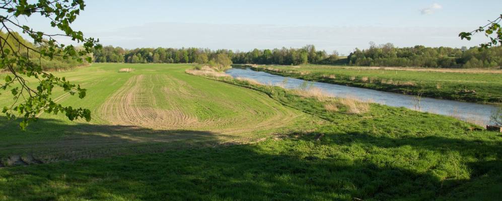 
            Фотография Родников
