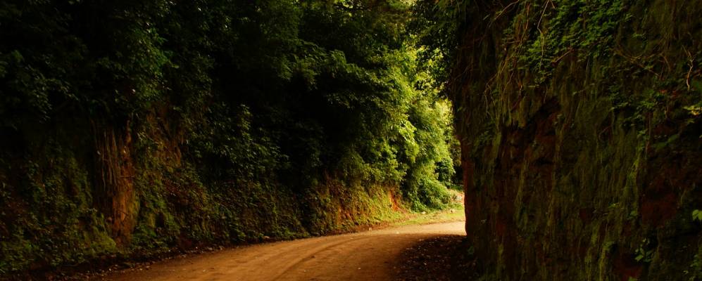 Фотография Апанека