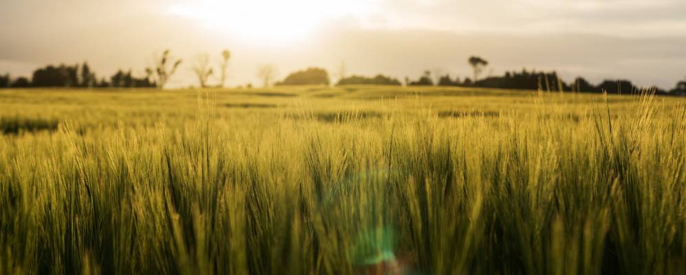 
            Фотография Знаменского
