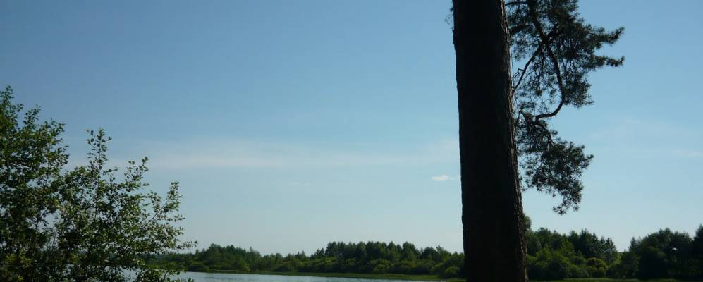 
            Фотография Седельниково