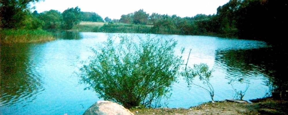 Фотография Кутуково