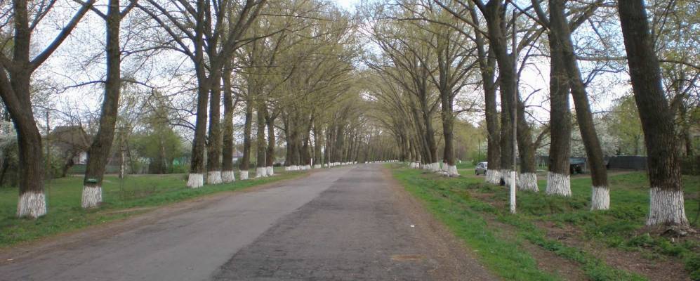 
            Фотография Клецы