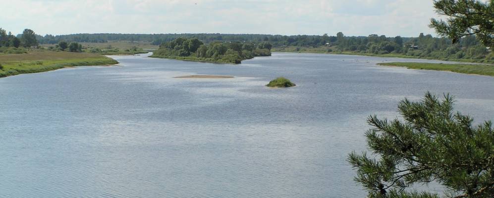 Фотография Песочков