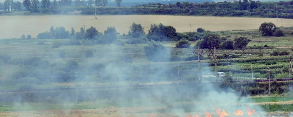 
            Фотография Стенки