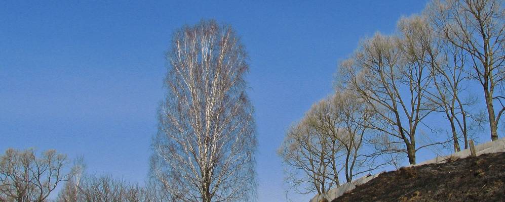 
            Фотография Рясного