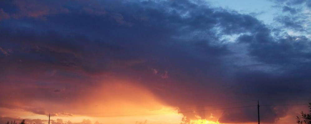 
            Фотография Выметного