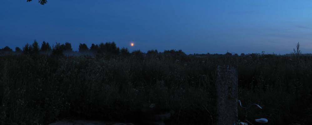 
            Фотография Борка