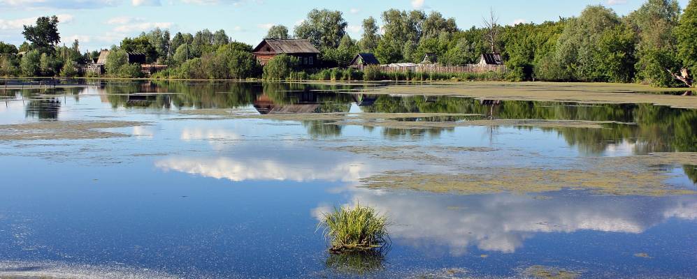 
            Фотография Булатниково
