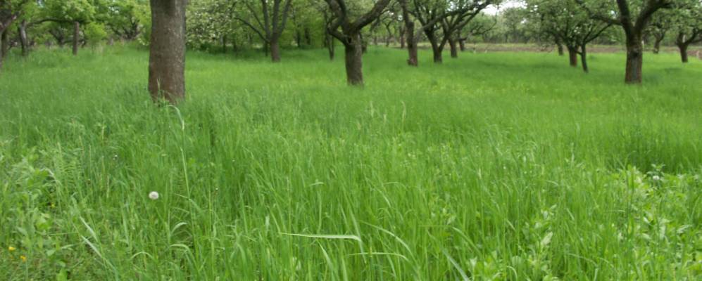 
            Фотография Задубровки