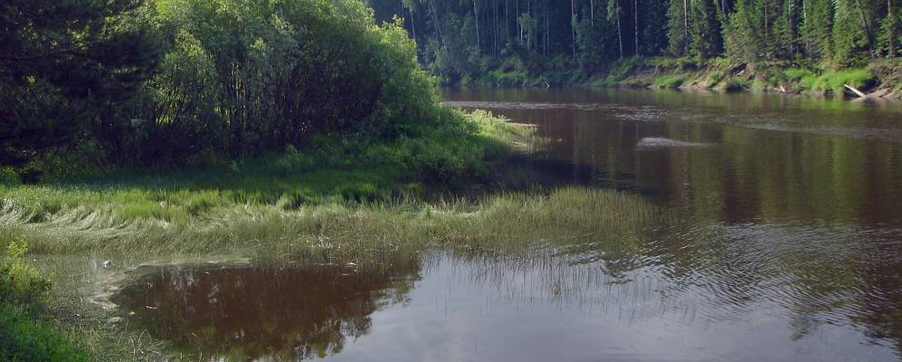 
            Фотография Рогозино