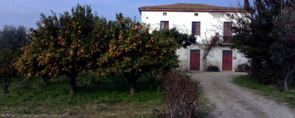 
            Фотография Моццагроньи