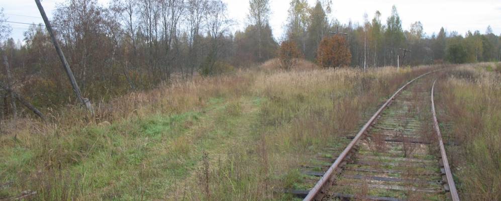 
            Фотография Березовки