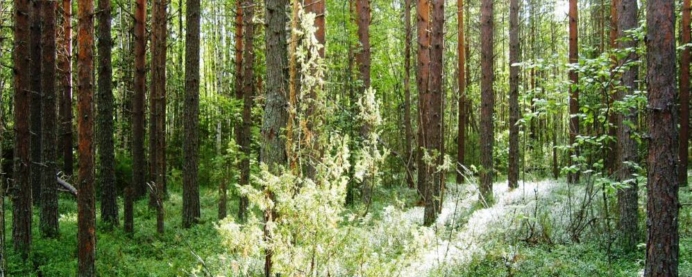 
            Фотография Учиновской