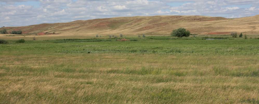 
            Фотография Комиссарово