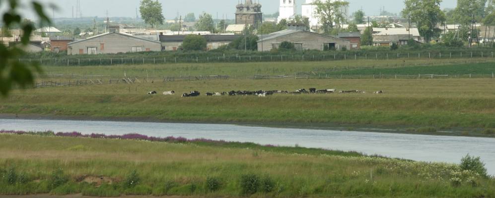 Фотография деревни Нижние Валдушки