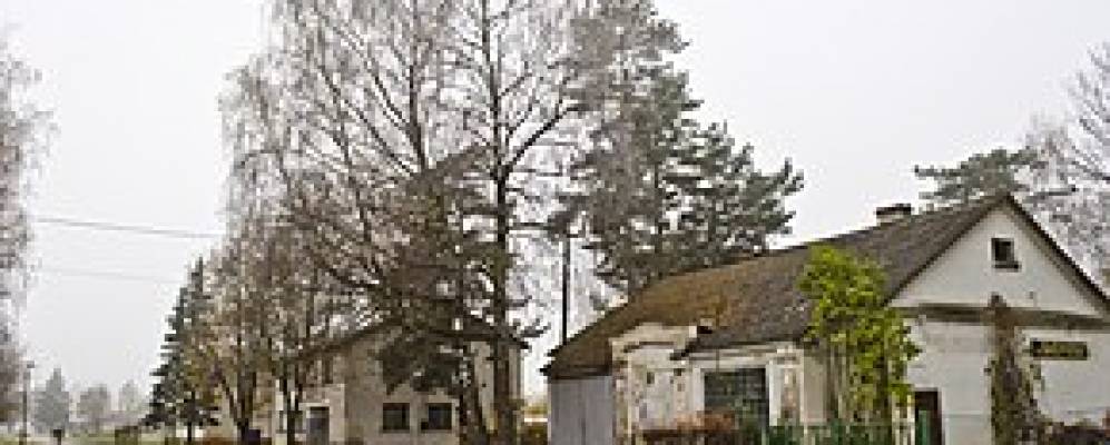 Фотография Давини