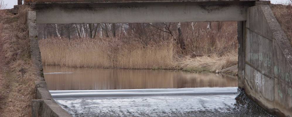 Фотография Недрески