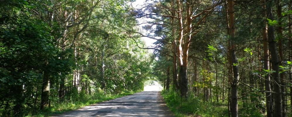 Фотография Буды