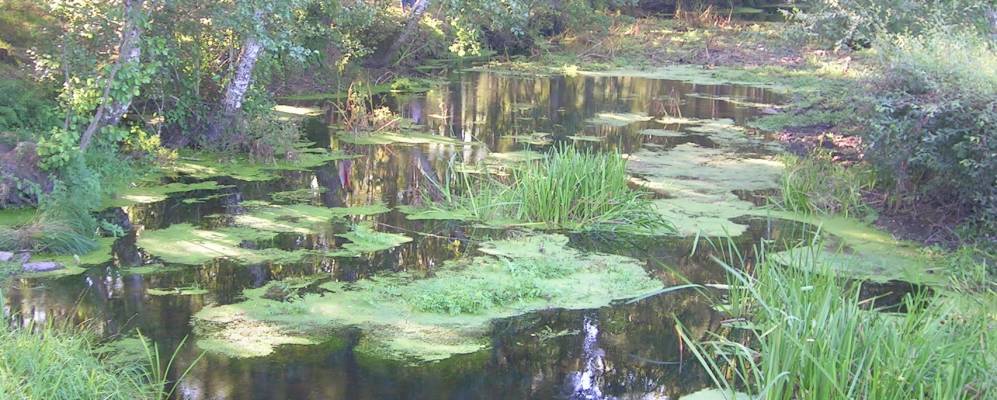 
            Фотография Монтерросо