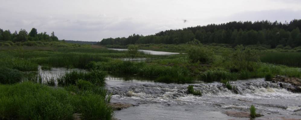
            Фотография Рассоховского