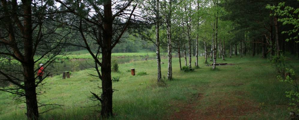 Фотография Осиновки