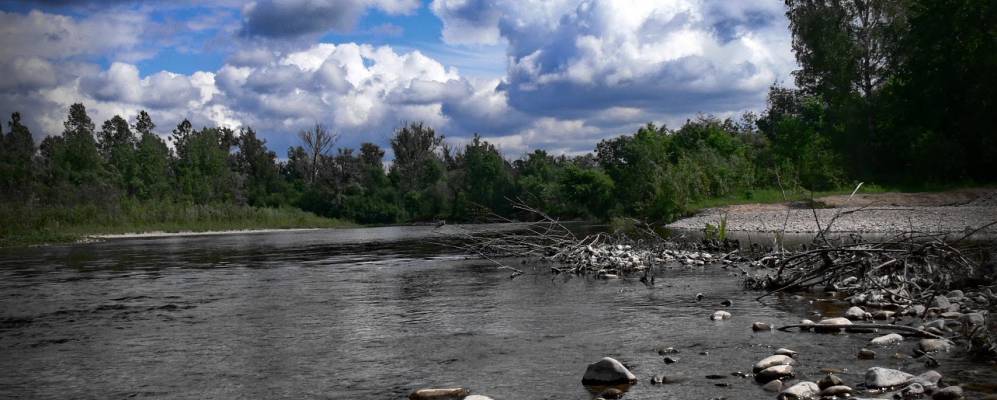 
            Фотография Яркинского