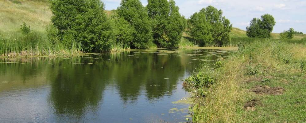 
            Фотография Верхнего Марьино