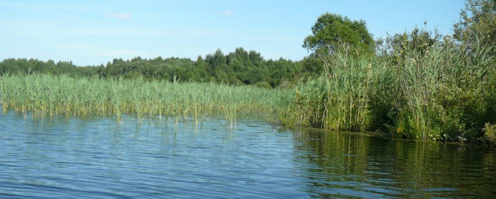 
            Фотография Балуковской