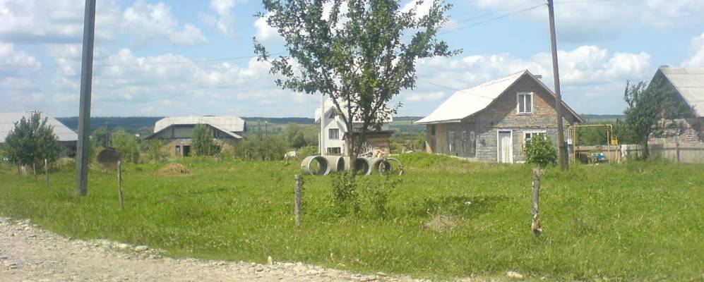 
            Фотография Студинки