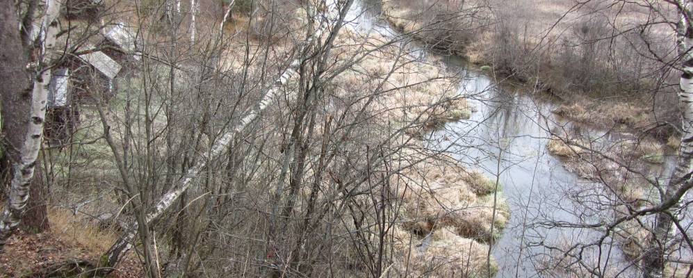 
            Фотография Лопаткино