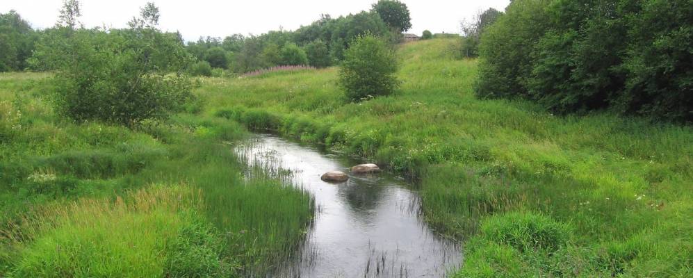 
            Фотография деревни Щепы