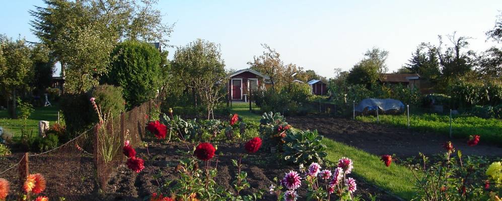 
            Фотография Кёллены