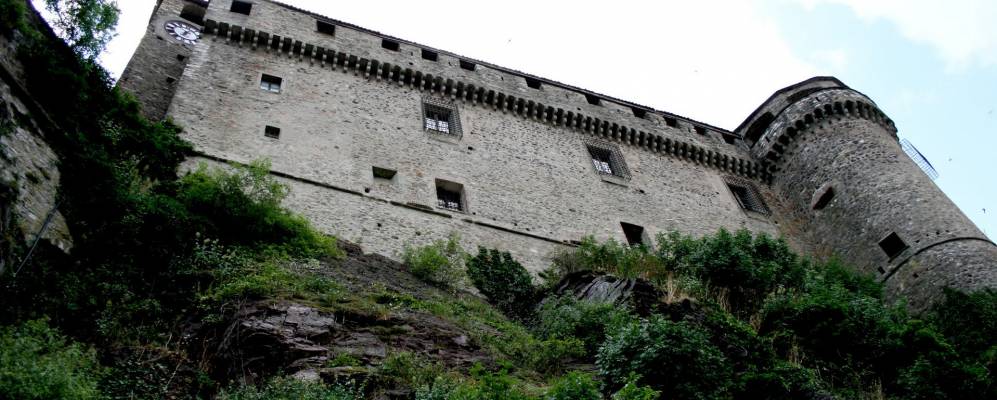 
            Фотография Барди