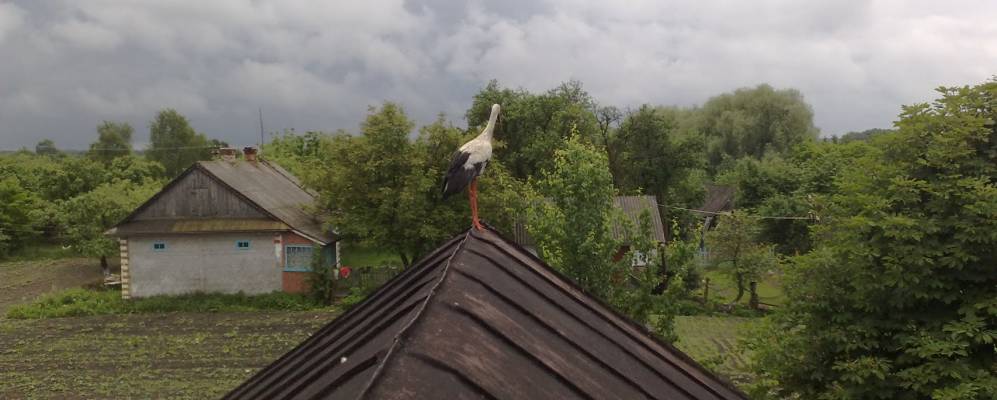 
            Фотография Мельницы