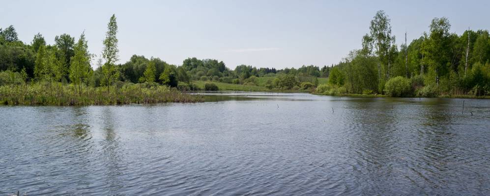 Фотография деревни Остряне