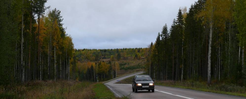 
            Фотография Огорыльцево