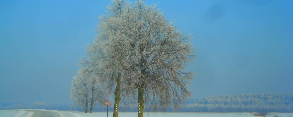 
            Фотография Бутелевщины