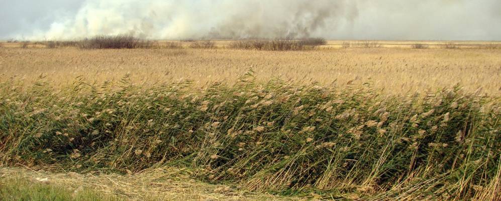 Фотография Щучья